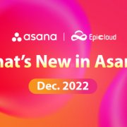 Asana upgrade dec 2022