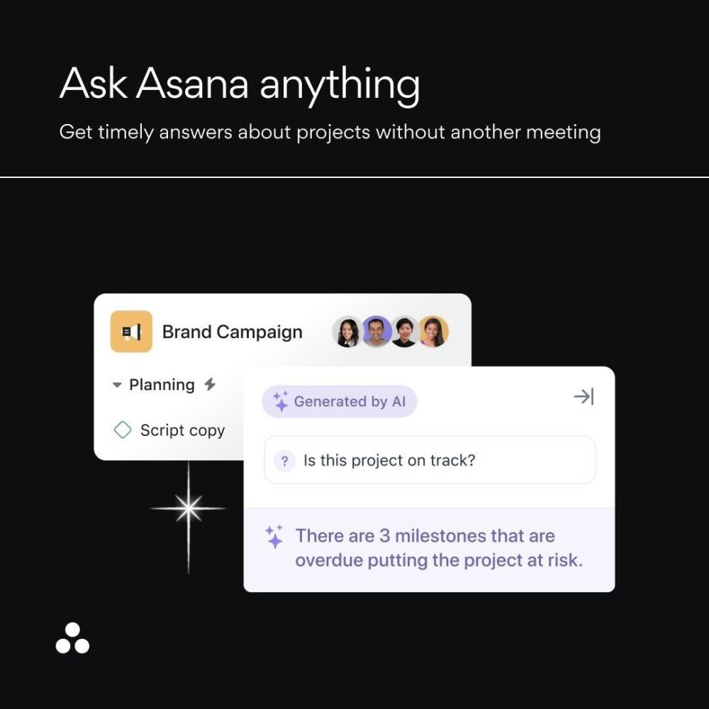 Ask Asana Anything